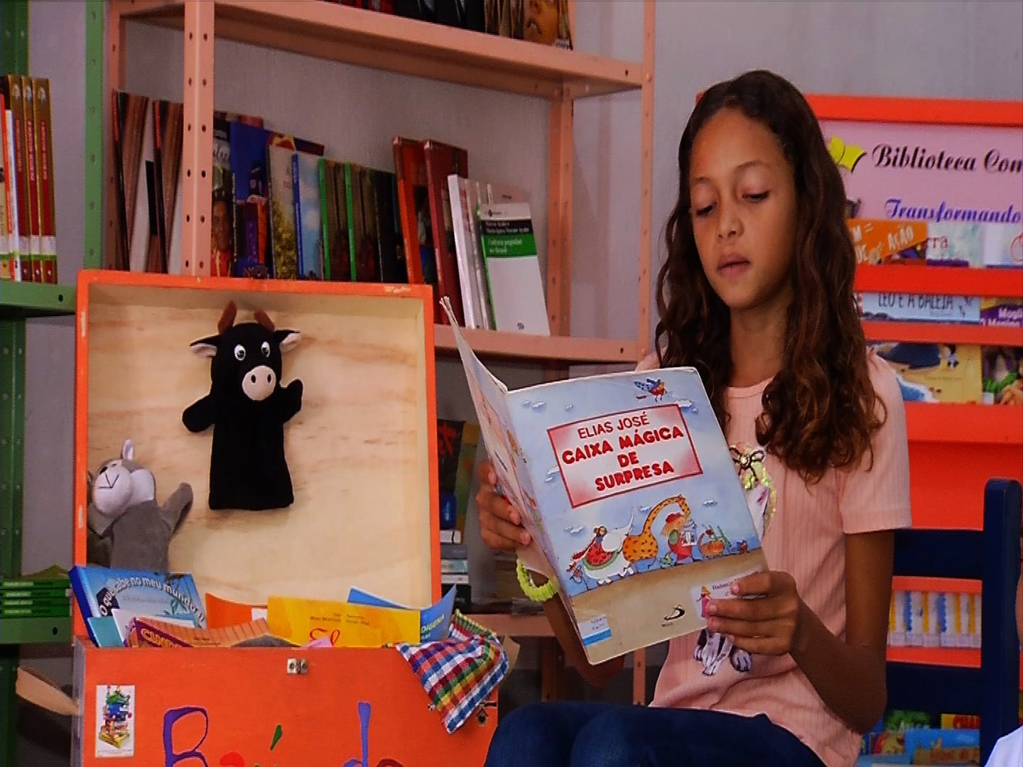 fds bibliotecas